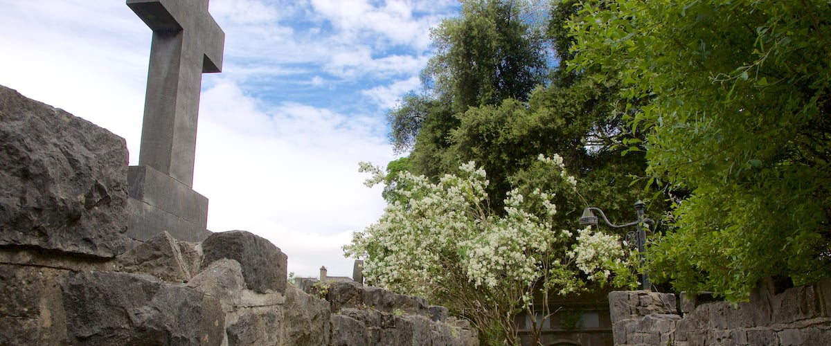St. Mary\'s Cathedral showing heritage elements, religious elements and a cemetery