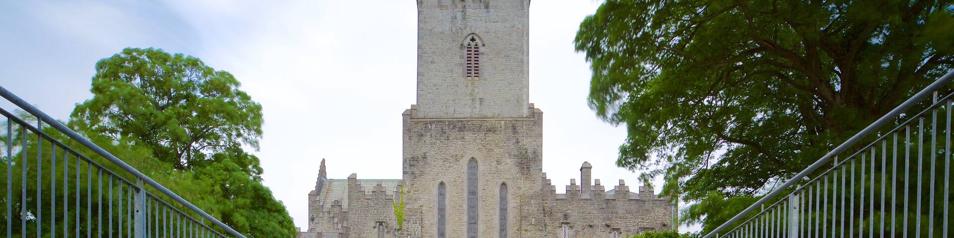 St. Mary\'s Cathedral featuring heritage elements, chateau or palace and heritage architecture