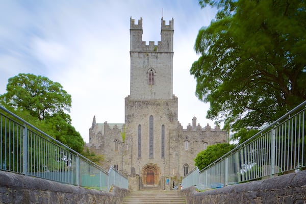 St. Mary\'s Cathedral showing château or palace, heritage elements and heritage architecture