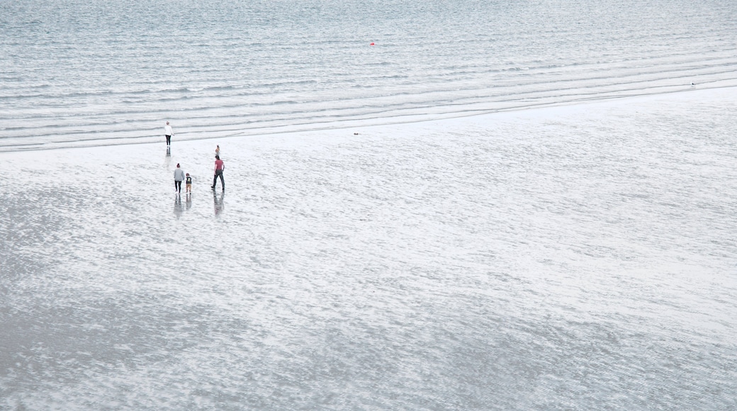 Rosses Point which includes general coastal views and a beach as well as a small group of people