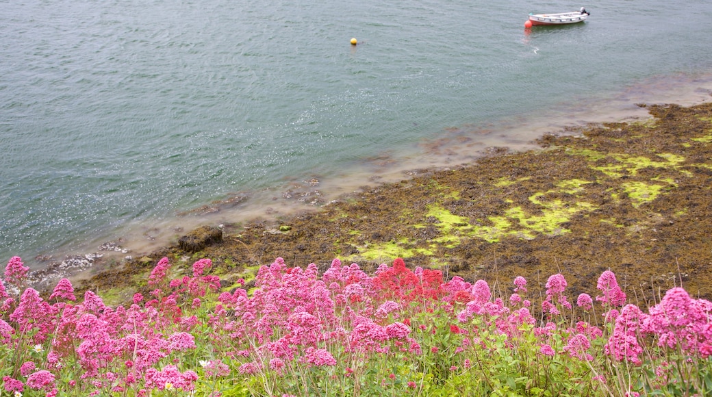 Rosses Point som inkluderar blommor och en sjö eller ett vattenhål