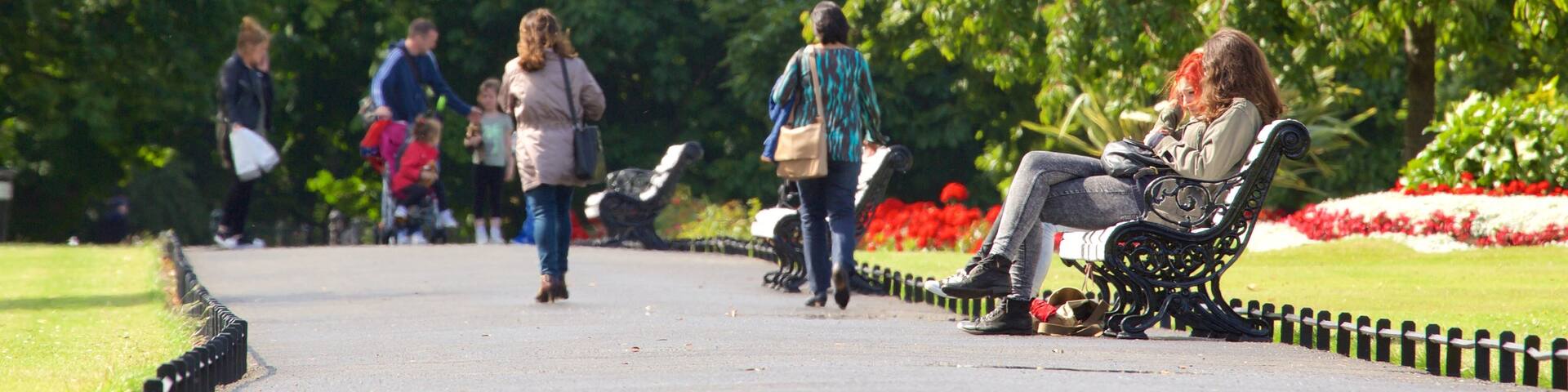 Phoenix Park showing a park as well as a small group of people