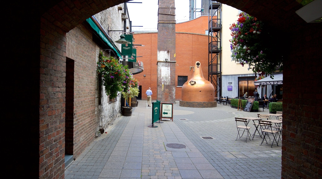 Old Jameson Distillery showing heritage elements