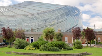 Aviva Stadium showing modern architecture, heritage architecture and a garden