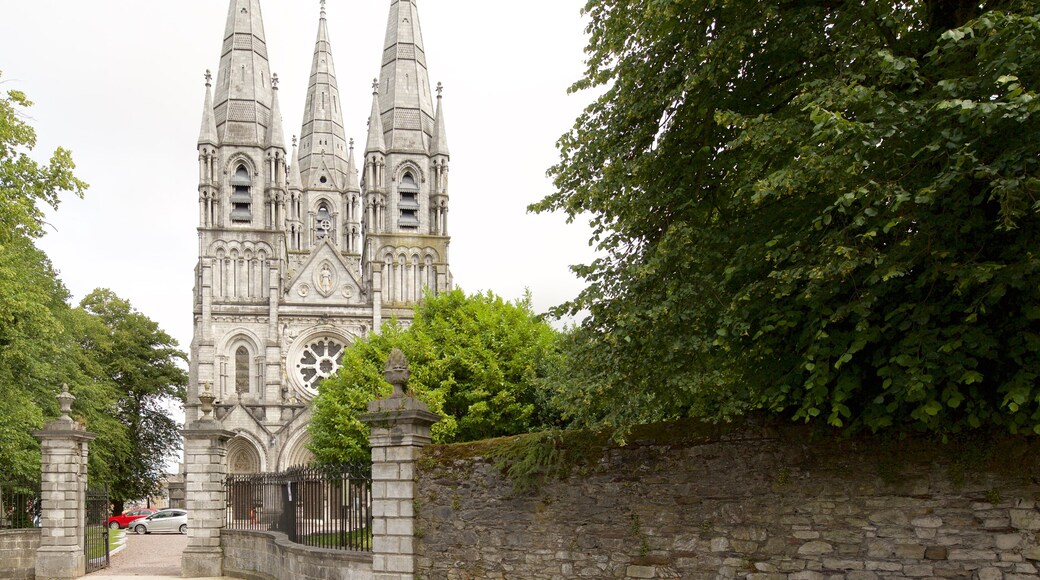 St Fin Barre\'s Kathedrale das einen religiöse Aspekte, Geschichtliches und Kirche oder Kathedrale