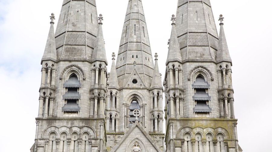 St Fin Barre\'s Cathedral qui includes patrimoine historique, patrimoine architectural et éléments religieux
