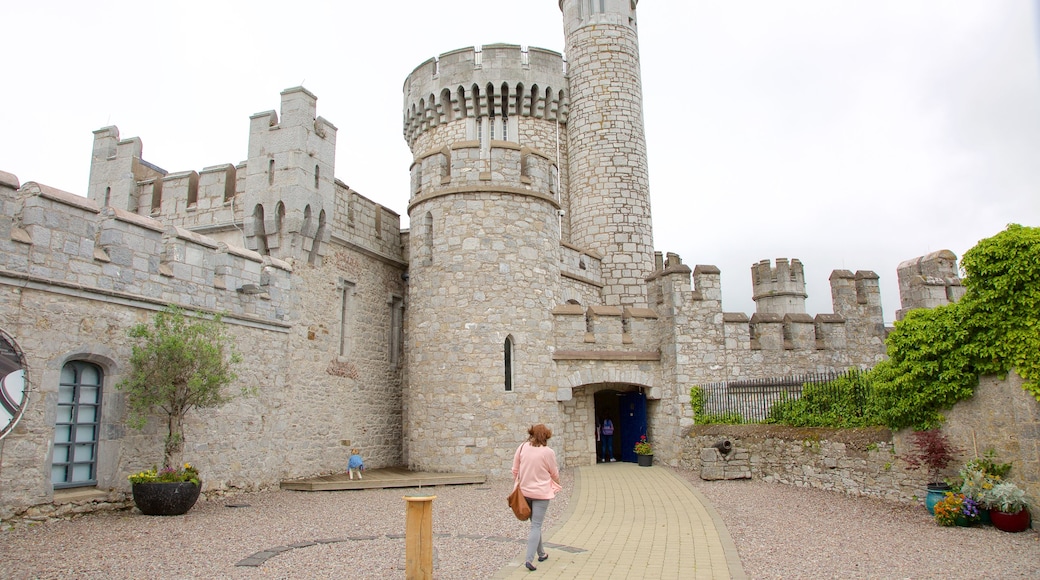 Blackrock Castle som viser slot eller palads, kulturarvsgenstande og historiske bygningsværker