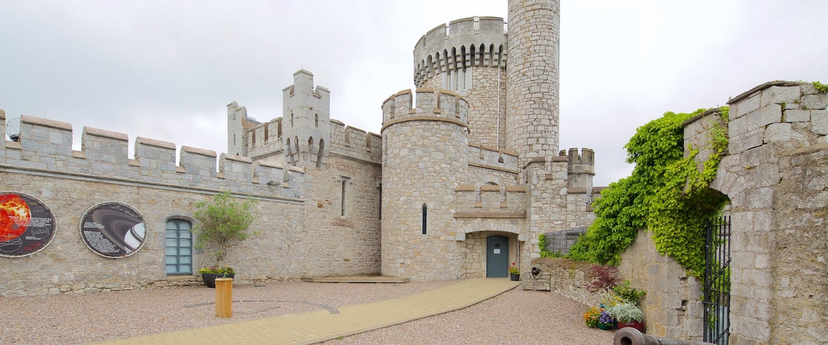 Castillo de Blackrock mostrando elementos del patrimonio, castillo o palacio y patrimonio de arquitectura