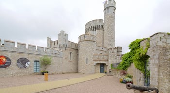 Blackrock Castle featuring chateau or palace, heritage elements and heritage architecture