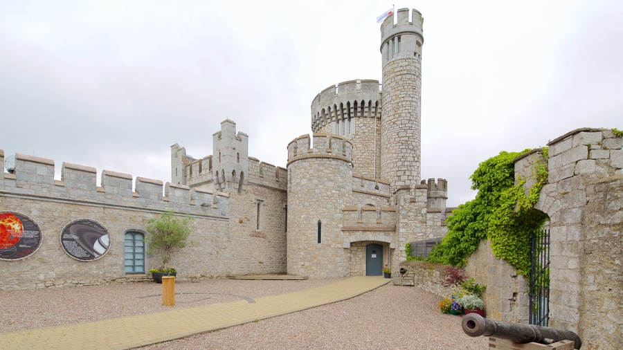 Blackrock Castle which includes heritage architecture, heritage elements and château or palace