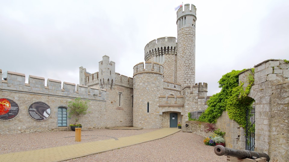 Castillo de Blackrock mostrando elementos del patrimonio, castillo o palacio y patrimonio de arquitectura