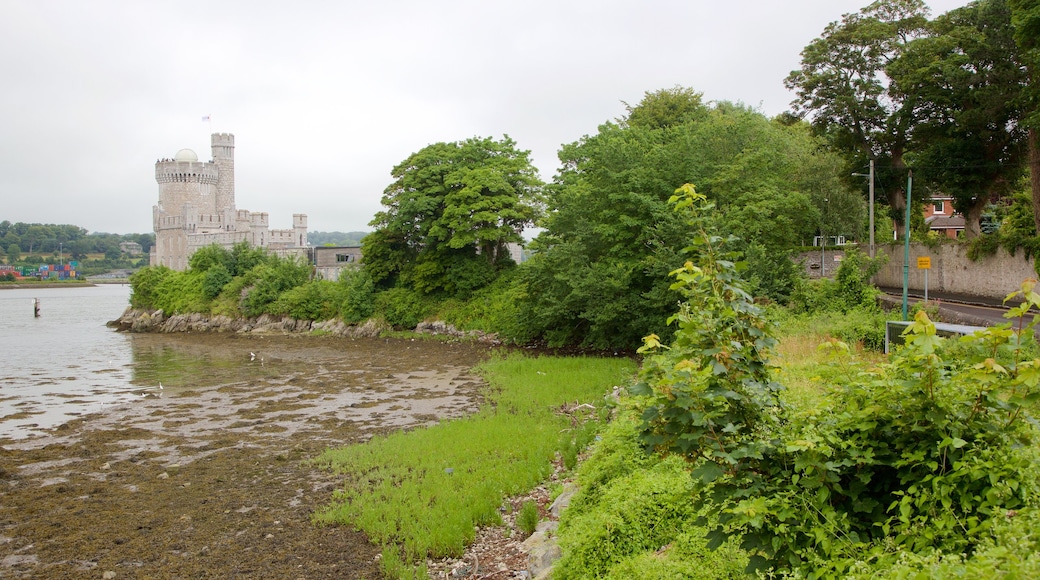 Blackrock Castle som viser en flod eller et vandløb, kulturarvsgenstande og historiske bygningsværker