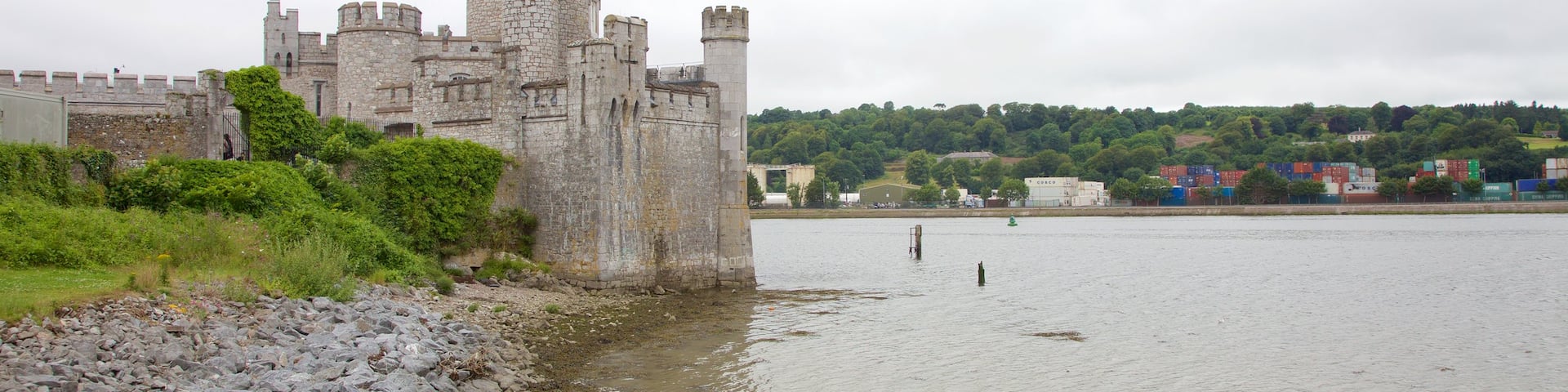 Blackrock Castle featuring heritage elements, heritage architecture and a river or creek