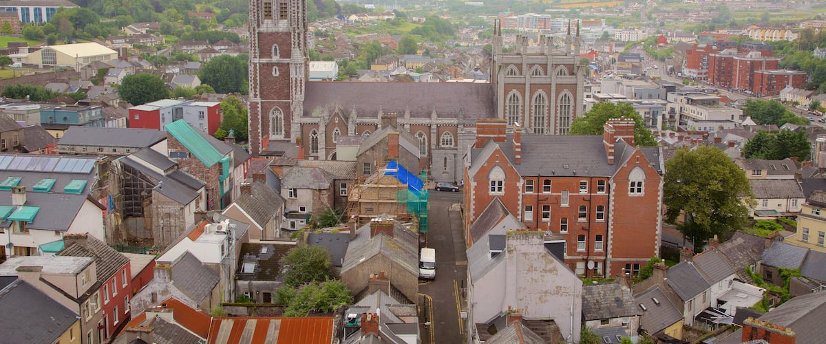 St. Anne\'s Shandon Church featuring a city