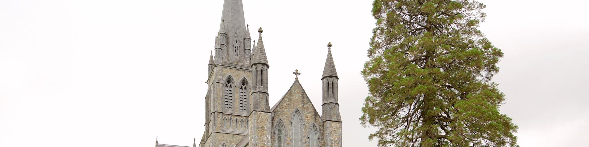 Killarney Cathedral showing heritage elements, heritage architecture and a church or cathedral