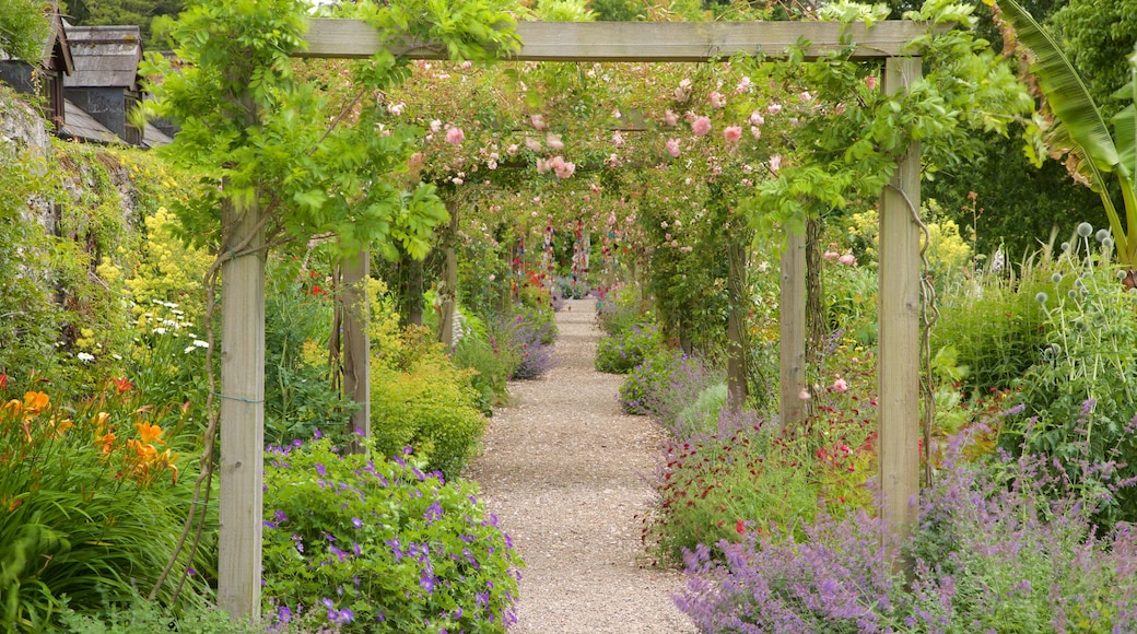 Blarney Castle toont bloemen en een park