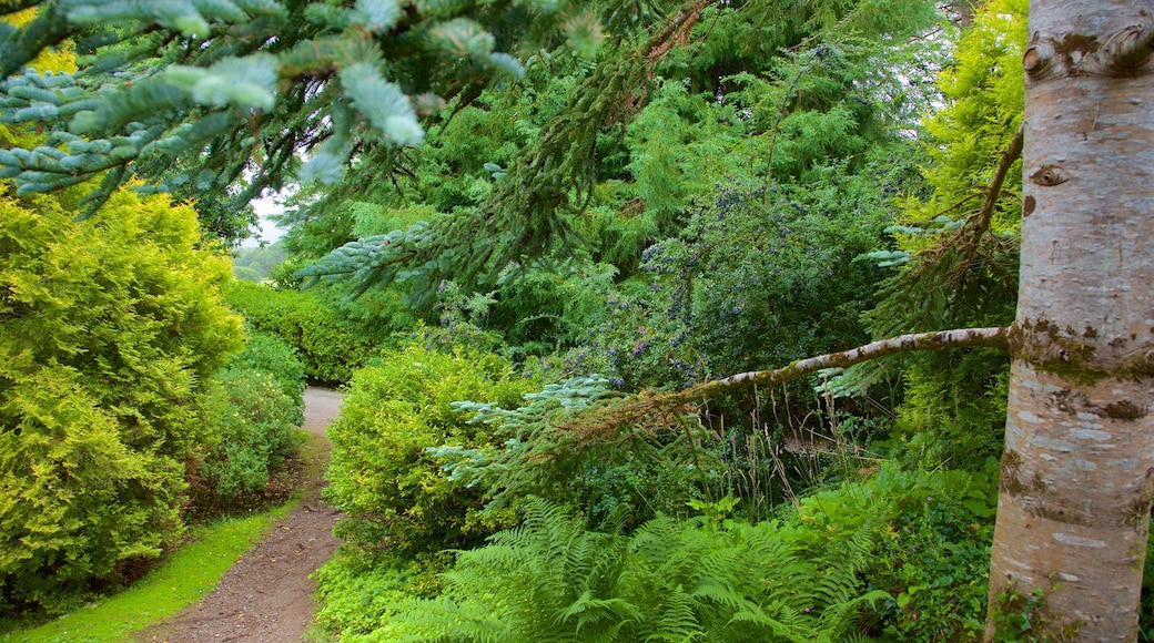 Muckross House featuring a garden and heritage elements