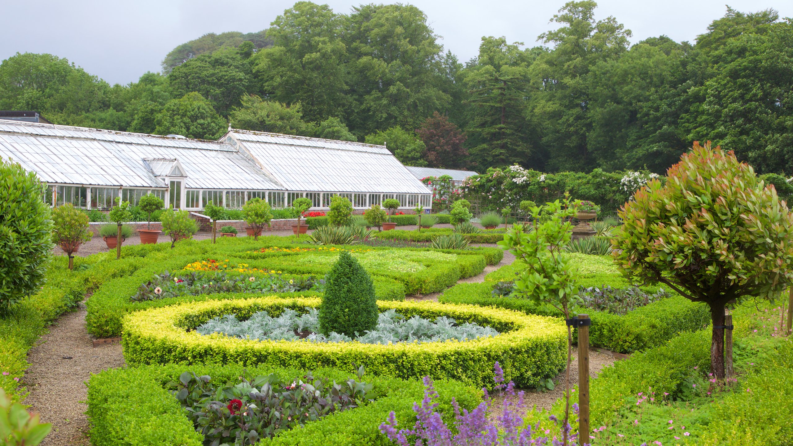 muckross house