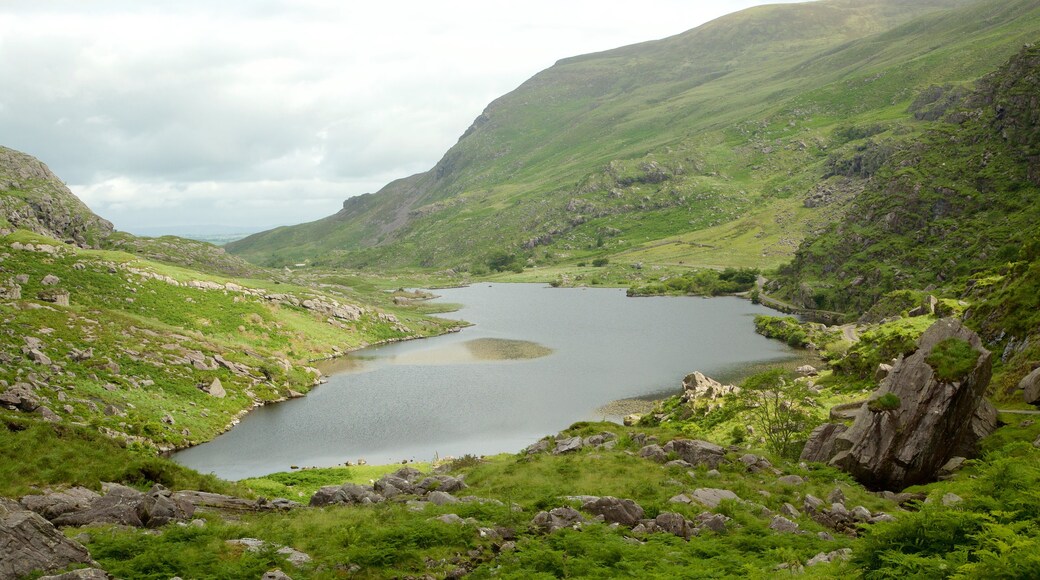 Côte Sauvage d'Irlande