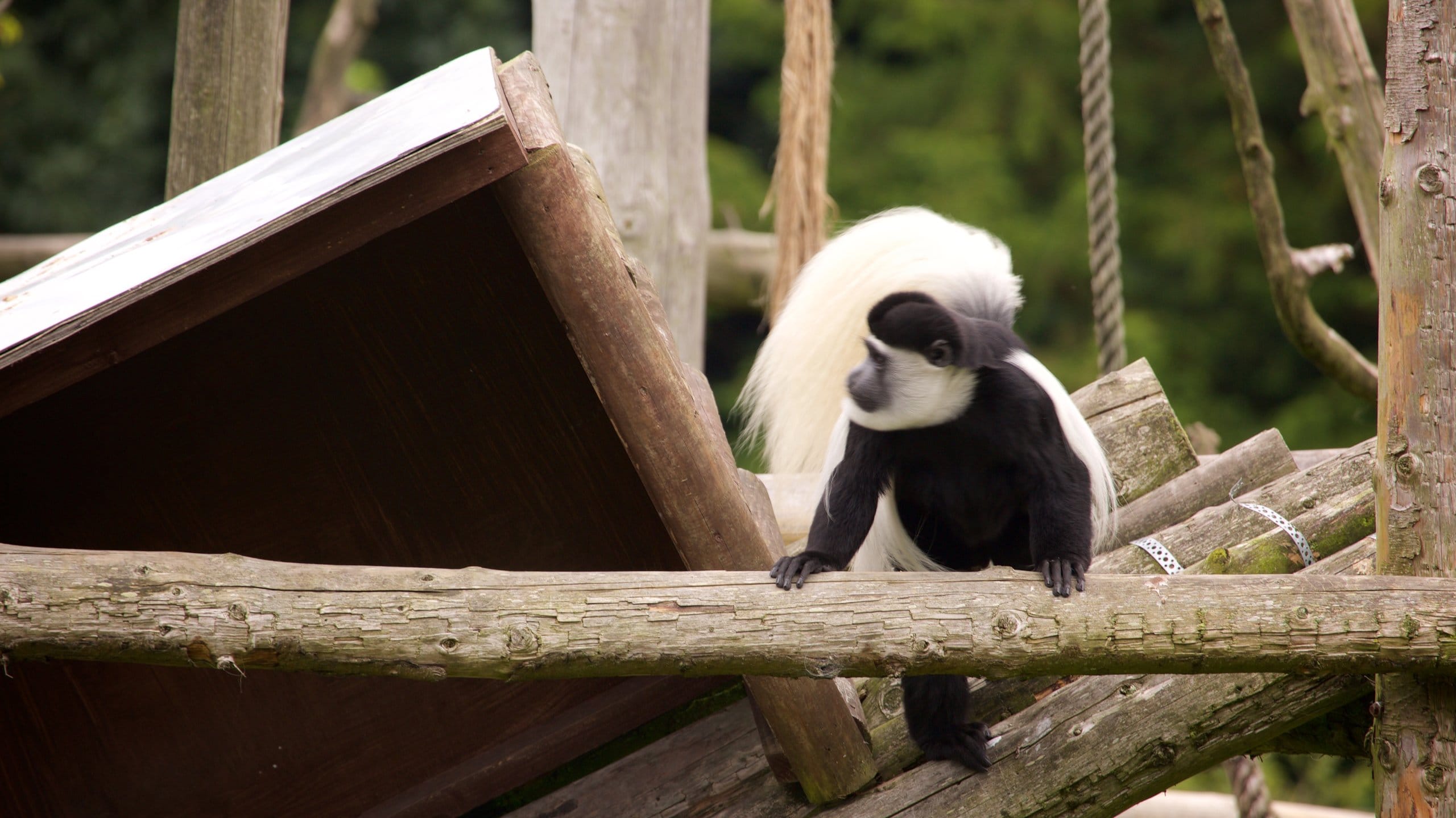 Fota Wildlife Park, Fota Vacation Rentals cabin rentals & more Vrbo