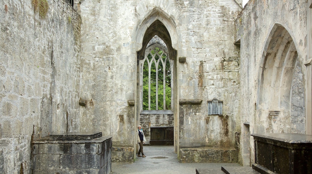 Muckross Abbey ofreciendo castillo o palacio, elementos del patrimonio y vistas interiores