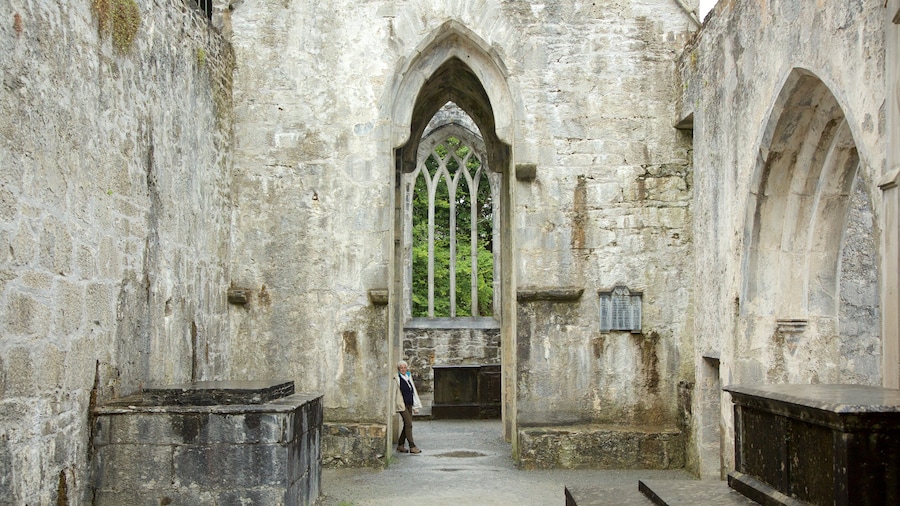Muckross Abbey showing heritage elements, a castle and heritage architecture