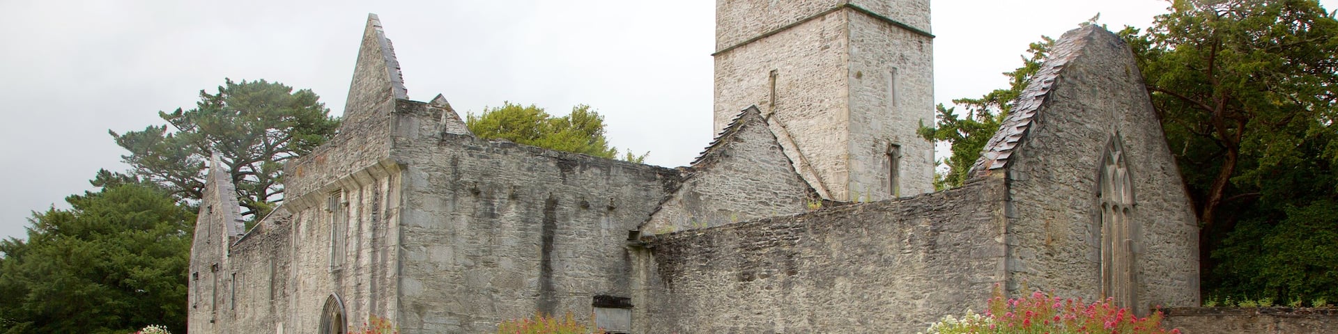 Muckross Abbey which includes flowers, a cemetery and heritage elements