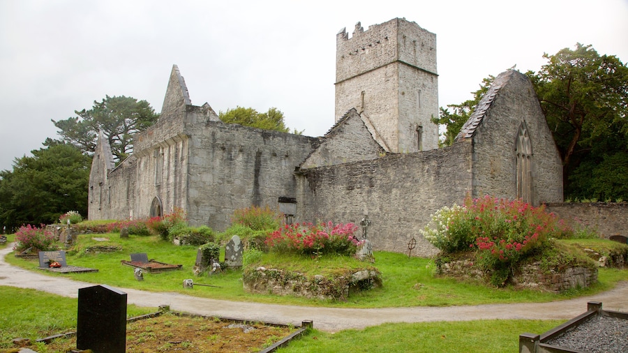 Muckross Abbey which includes flowers, a cemetery and heritage elements