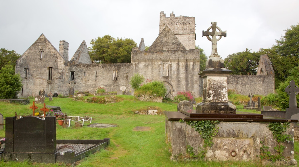 Muckross Abbey caratteristiche di cimitero, oggetti d\'epoca e architettura d\'epoca