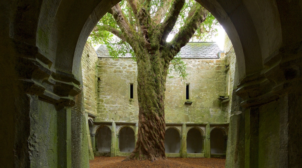 Muckross Abbey showing a castle, heritage architecture and heritage elements