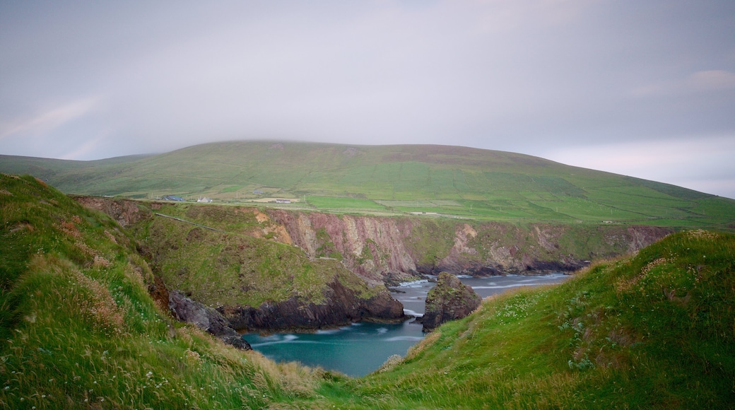 Slea Head featuring rocky coastline, tranquil scenes and general coastal views