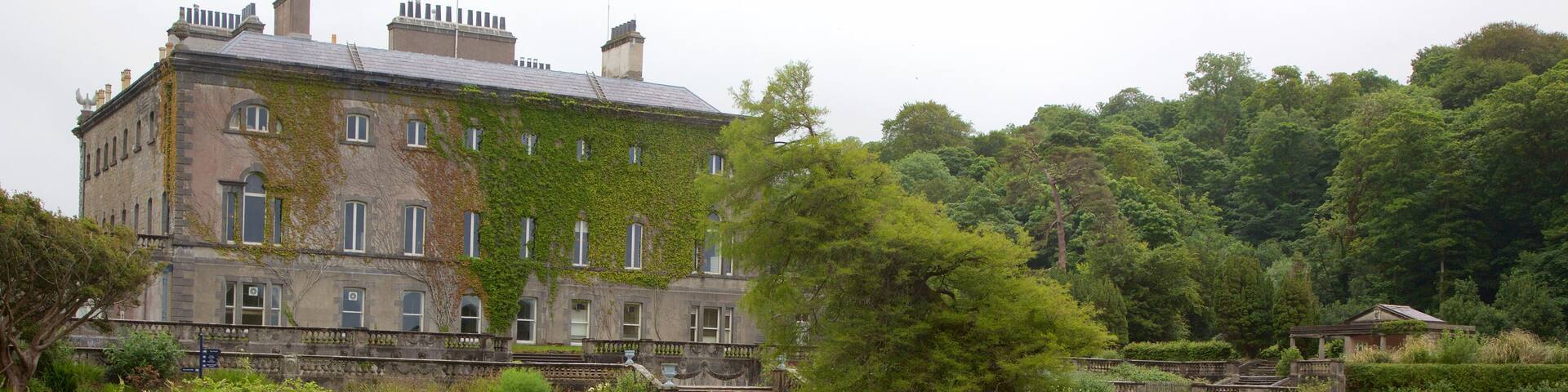 Westport House which includes chateau or palace, heritage elements and heritage architecture