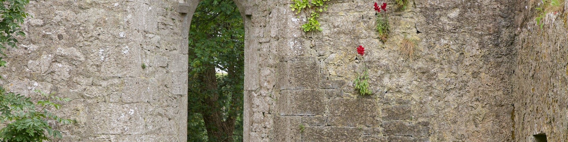 Lough Gur which includes heritage elements, heritage architecture and building ruins