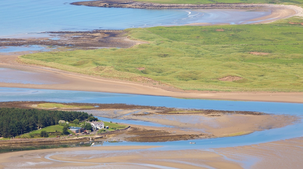 Knocknarea showing general coastal views and a sandy beach