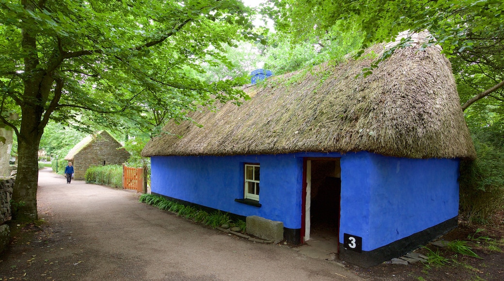 Bunratty Castle and Folk Park que incluye escenas cotidianas, arquitectura patrimonial y elementos patrimoniales