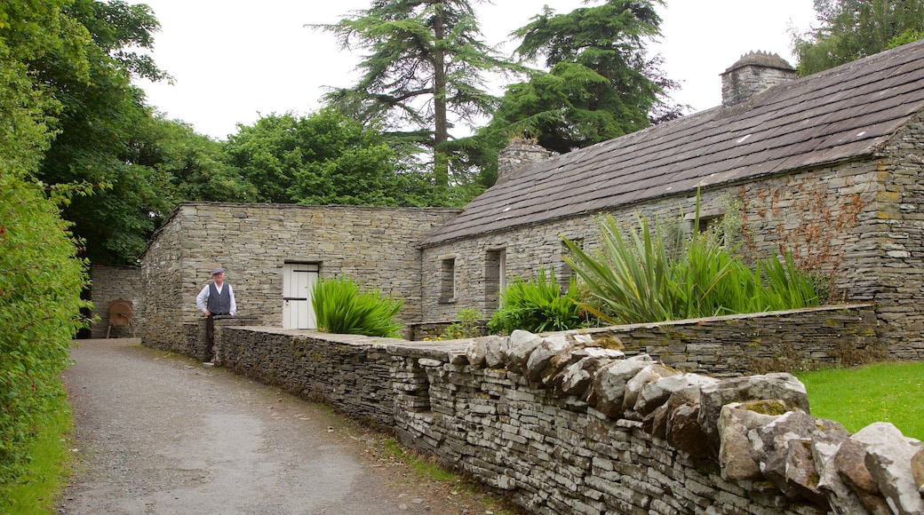 Bunratty Castle and Folk Park showing street scenes and heritage elements as well as an individual male