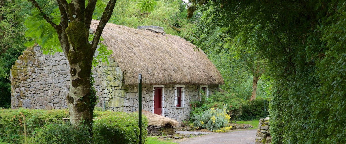 Bunratty Castle and Folk Park featuring a house, heritage elements and heritage architecture