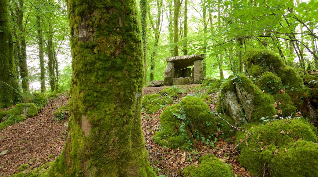 Craggaunowen