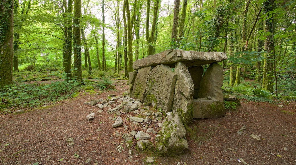 Craggaunowen showing a cemetery and heritage elements