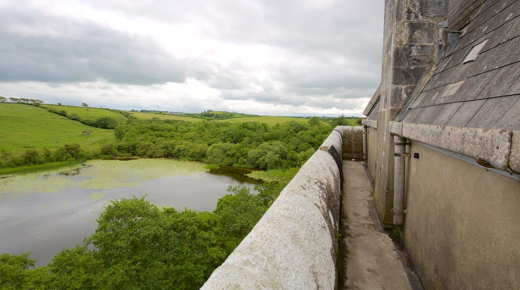 Craggaunowen welches beinhaltet historische Architektur, Palast oder Schloss und Teich