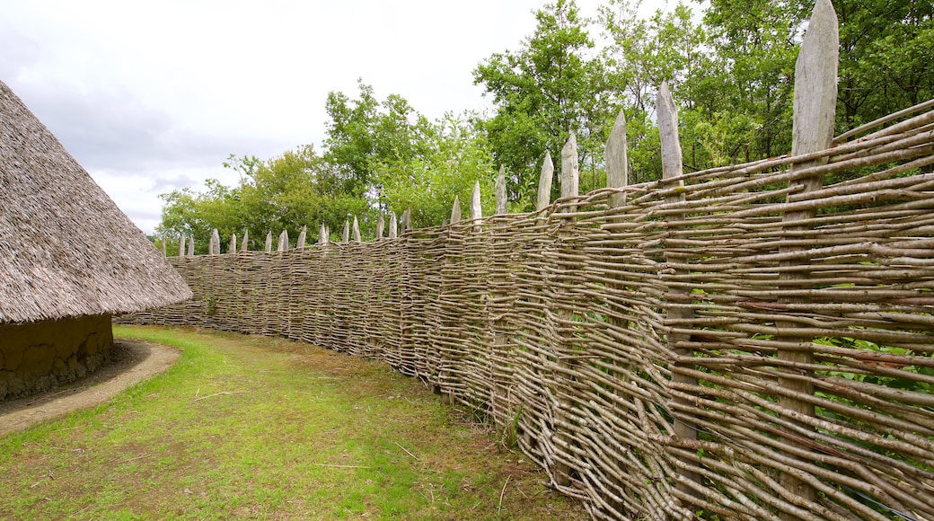 Craggaunowen mit einem Geschichtliches, Kleinstadt oder Dorf und historische Architektur