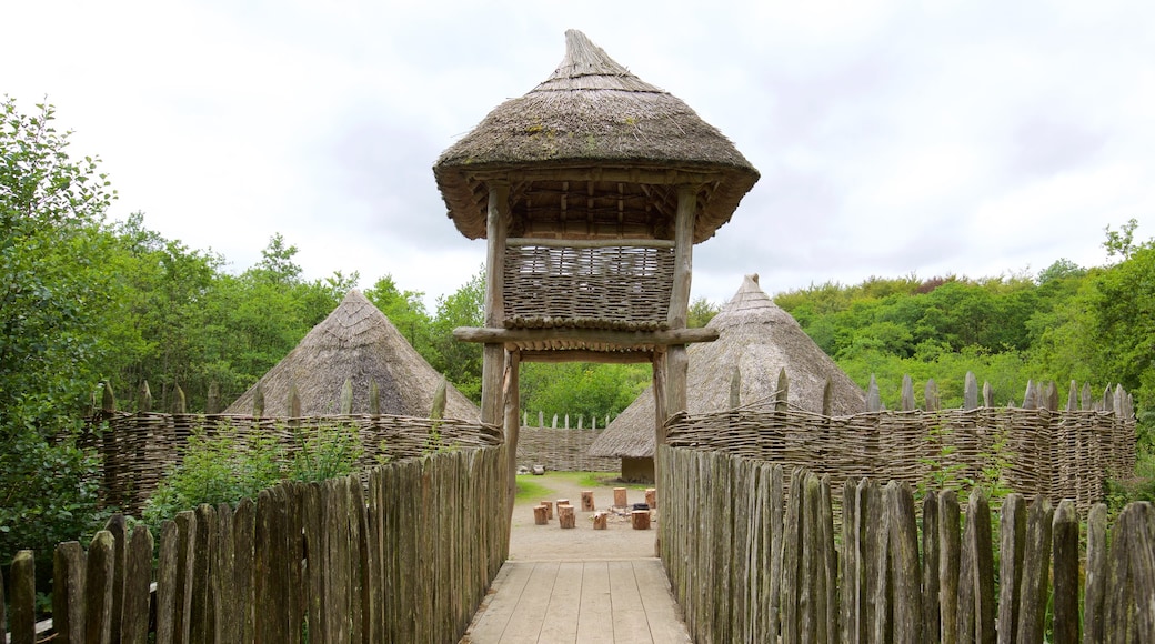 Craggaunowen mit einem Kleinstadt oder Dorf, Geschichtliches und historische Architektur