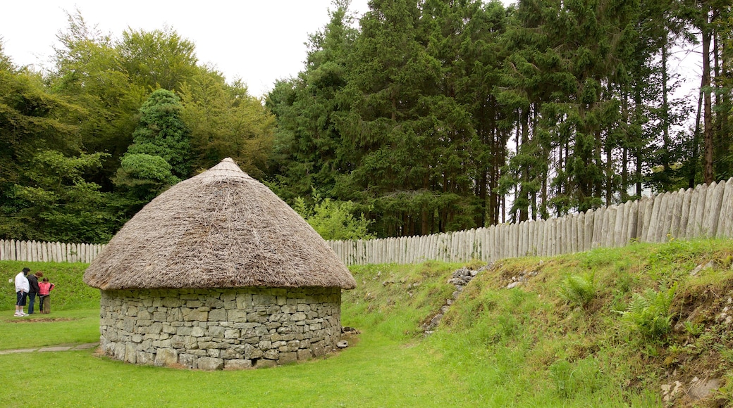 Craggaunowen which includes heritage elements, a small town or village and a house