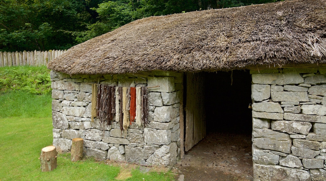 Craggaunowen mostrando una pequeña ciudad o aldea, elementos patrimoniales y una casa