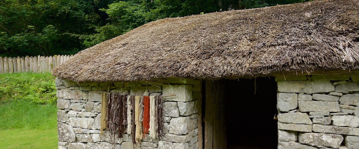 Craggaunowen showing a house, a small town or village and heritage elements