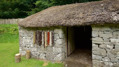 Craggaunowen som viser kulturarv, liten by eller landsby og hus