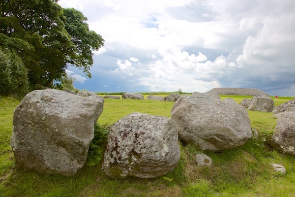 Carrowmore Megalithic Cemetery welches beinhaltet ruhige Szenerie und Geschichtliches