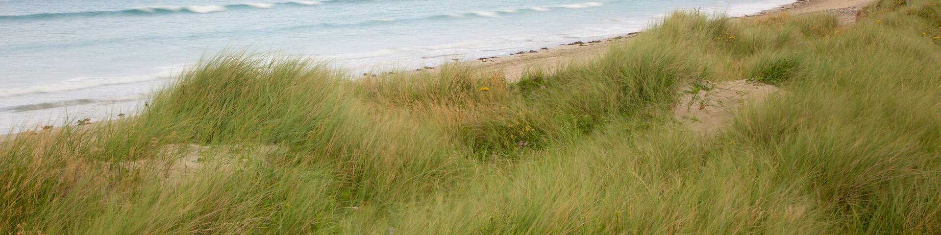 Banna Beach welches beinhaltet Strand und allgemeine Küstenansicht