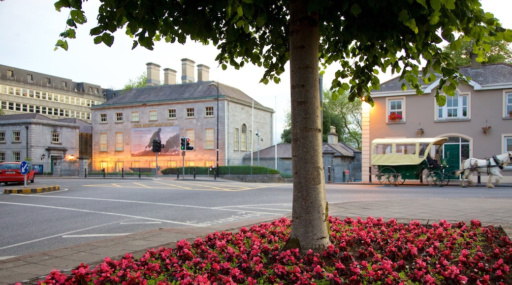 Hunt Museum montrant square ou place et scènes de rue