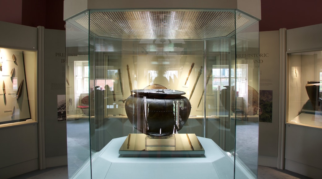 Hunt Museum showing interior views and heritage elements